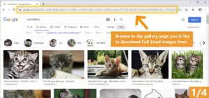 Bulk Image Downloader 6.66 Free Download