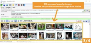 Bulk Image Downloader 6.66 Free Download