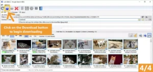Bulk Image Downloader 6.66 Free Download