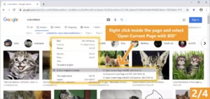 Bulk Image Downloader 6.66 Free Download