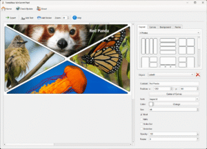TweakNow WinSecret Plus 10.0.2 Free Download